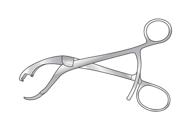 Verbrugge Bone Holding Forceps