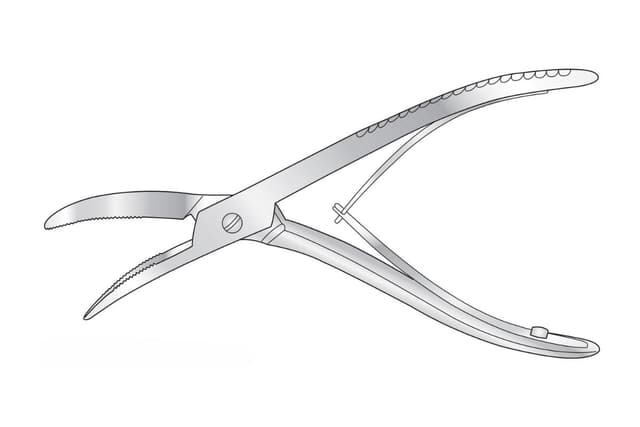 Wolf Plaster Spreader