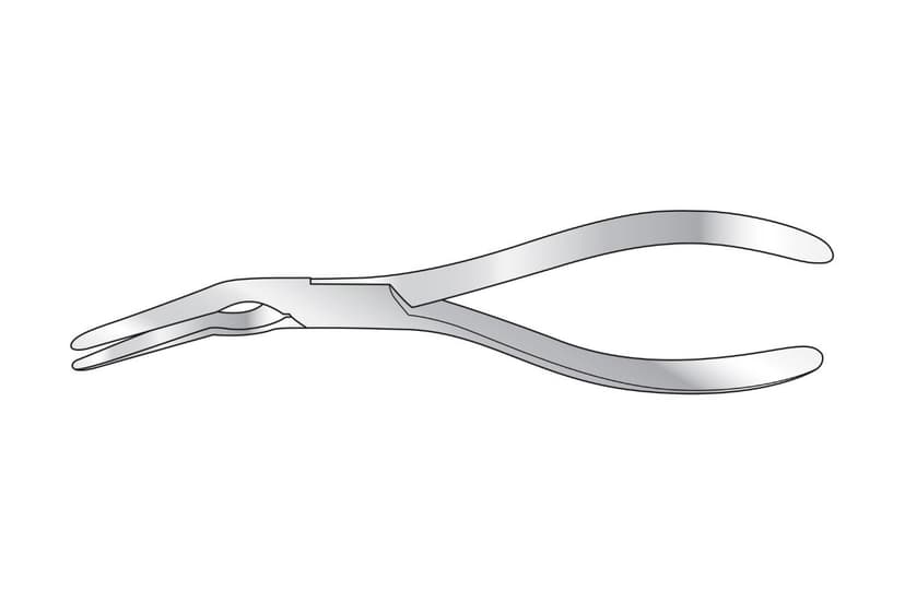Asch Septum Forceps