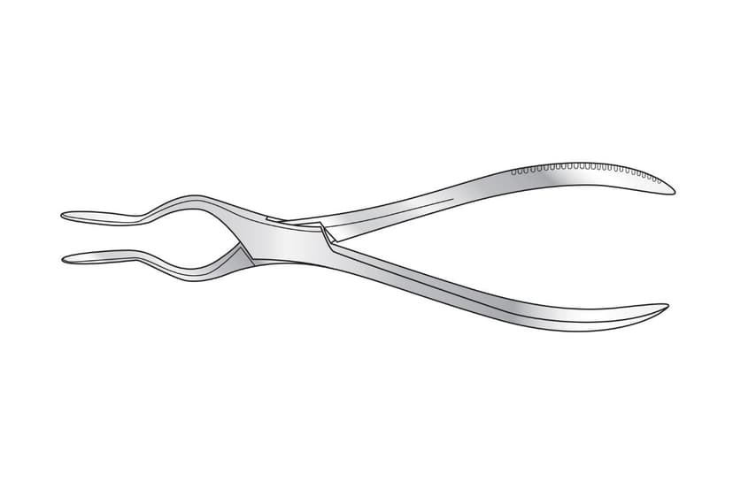 Walsham Septum Straightening Forceps