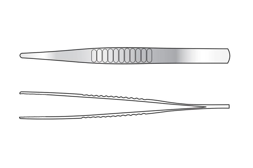 Block End Dissecting Forceps (Post Mortem)