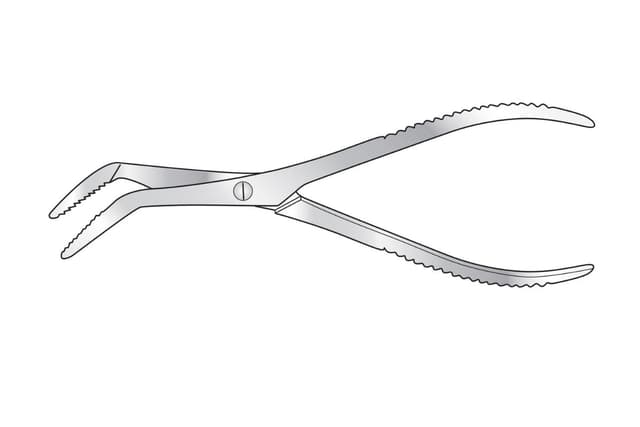 Dura Mater Stripping Forceps