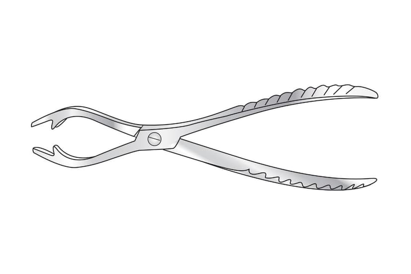 Ferguson “Lion” Bone Holding Forceps