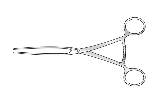 Lane Bowel Clamp (Stainless Steel)