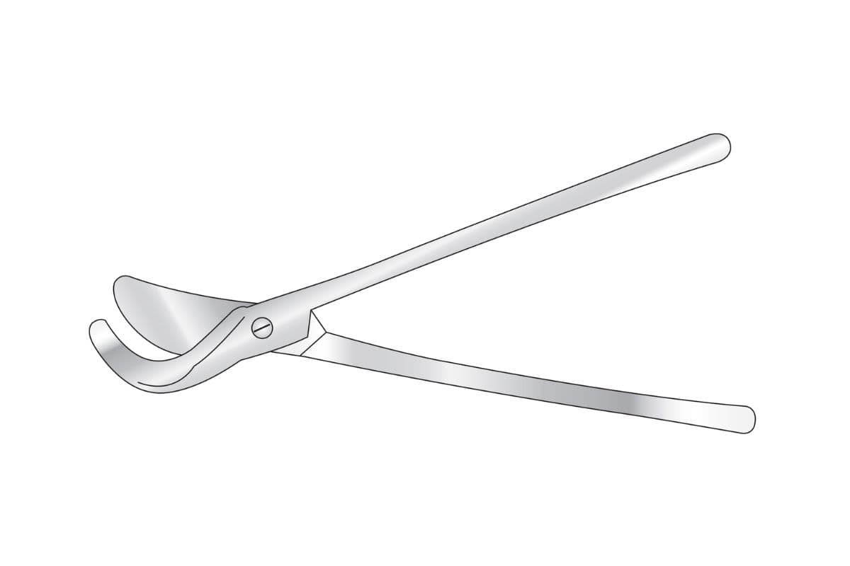 Rib Shears subcategory