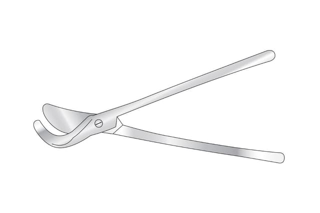 Pollock Rib Shears