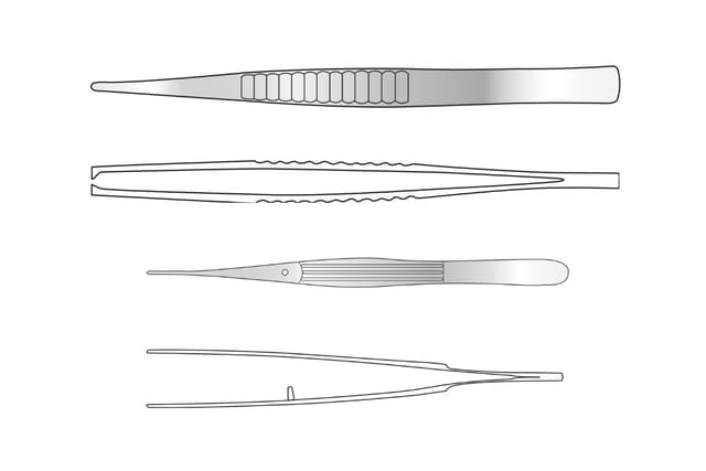 Treves Dissecting Forceps (Post Mortem)