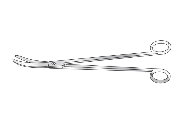 Lloyd-Davis Rectal Scissors