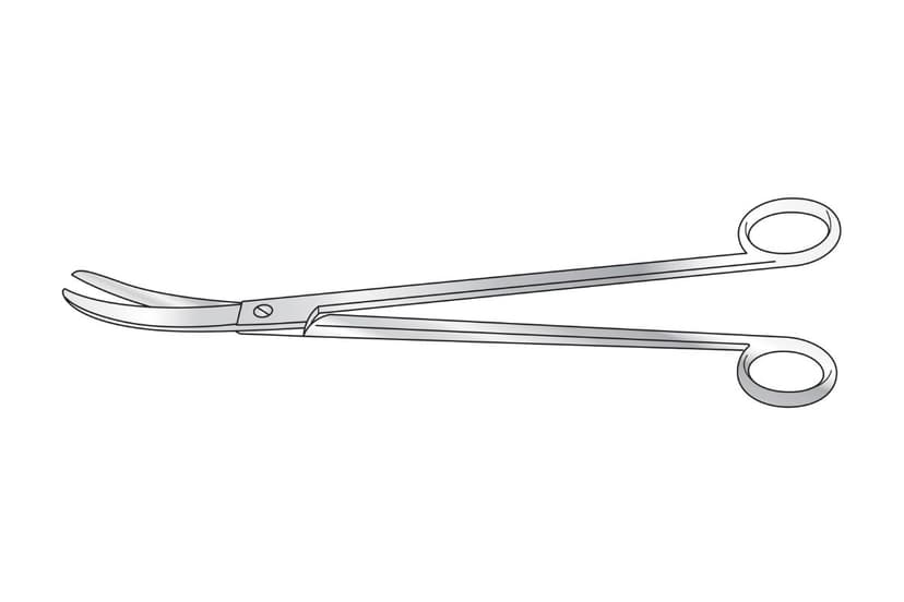 Lloyd-Davis Rectal Scissors