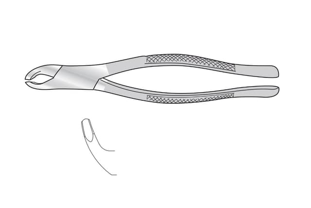 Tooth Forceps