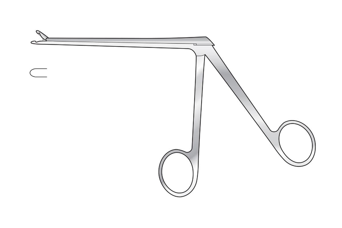 Rongeurs subcategory