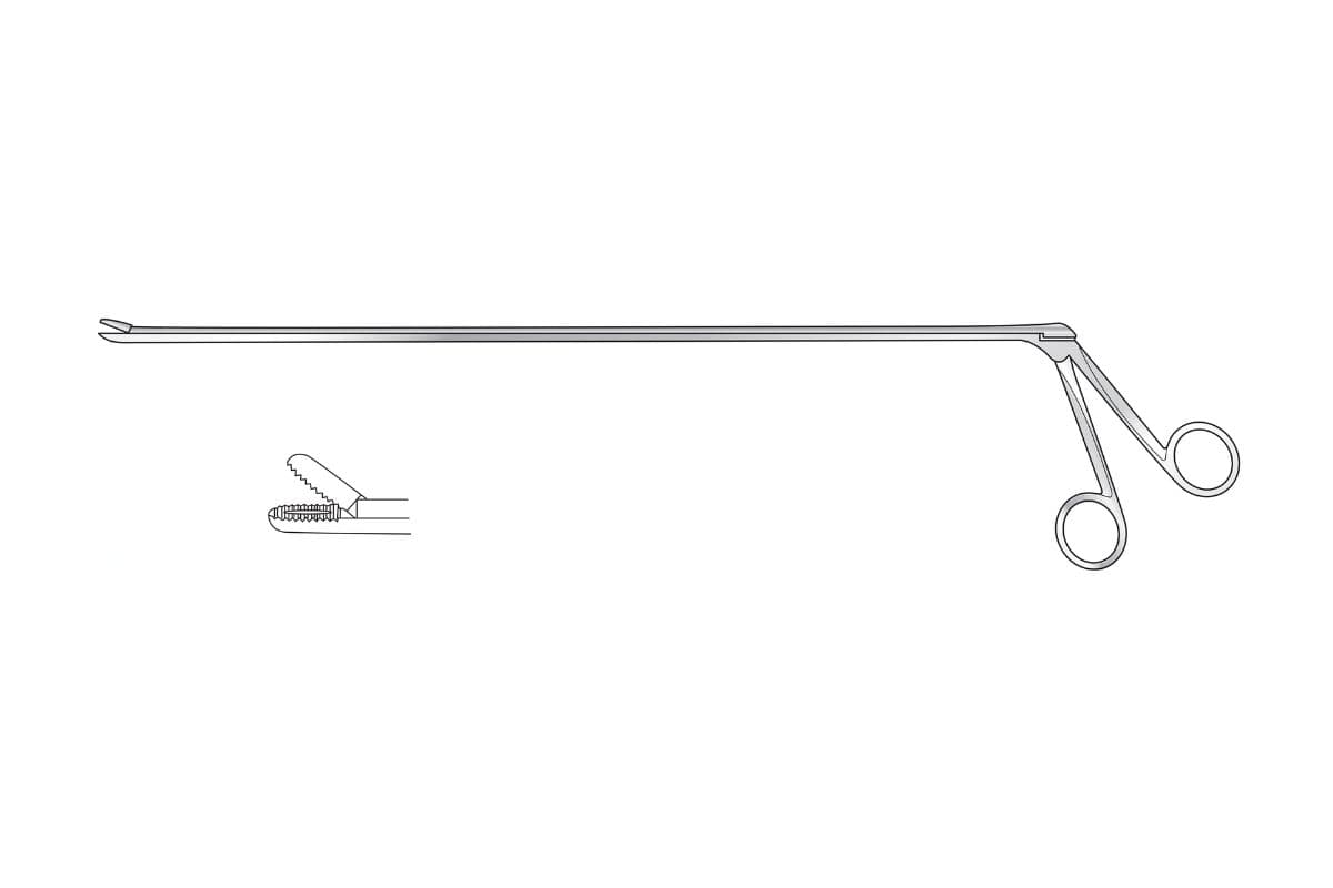 Punches / Endoscopic Forceps subcategory