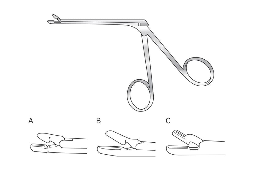 Grunwald Nasal Punch Forceps