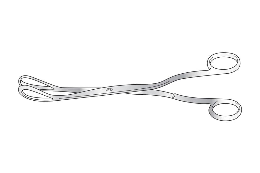 Greenhalgh Ovum Forcep