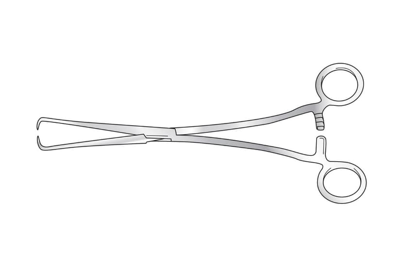 Schroeder Uterine Vulsellum Forcep