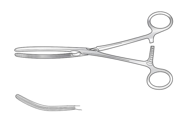 Lane Intestinal Forceps