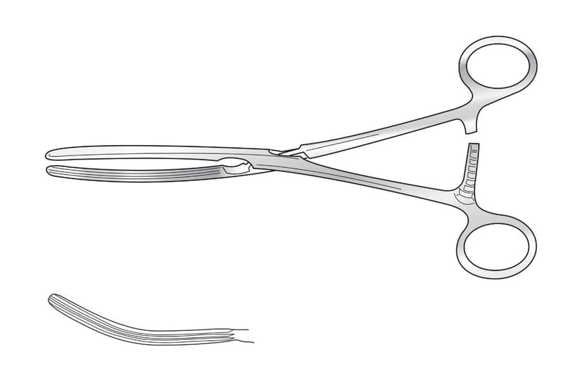Lane Intestinal Forceps
