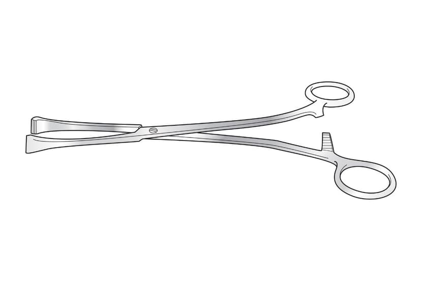 Lane Stomach Holding Forceps