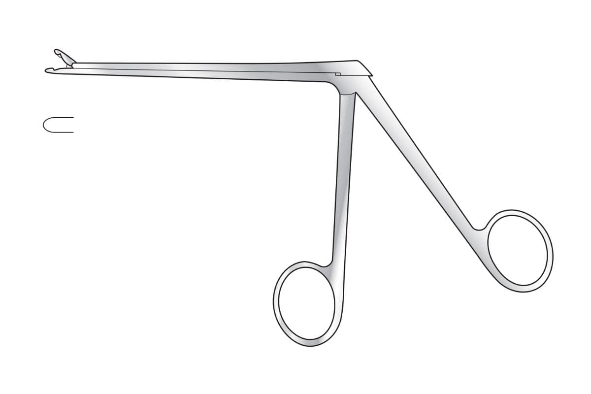 Rongeurs subcategory