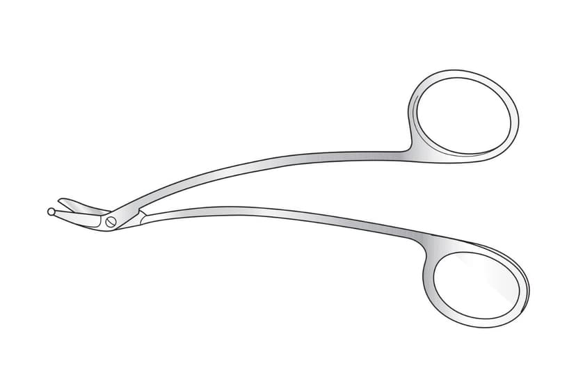 Schmieden (Taylor) Scissors