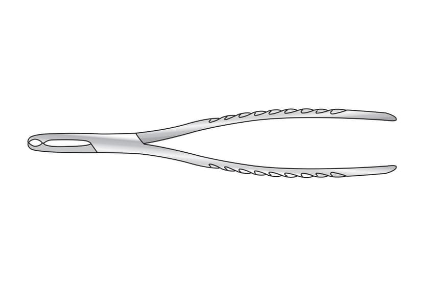Harrison Bone Holding Forceps
