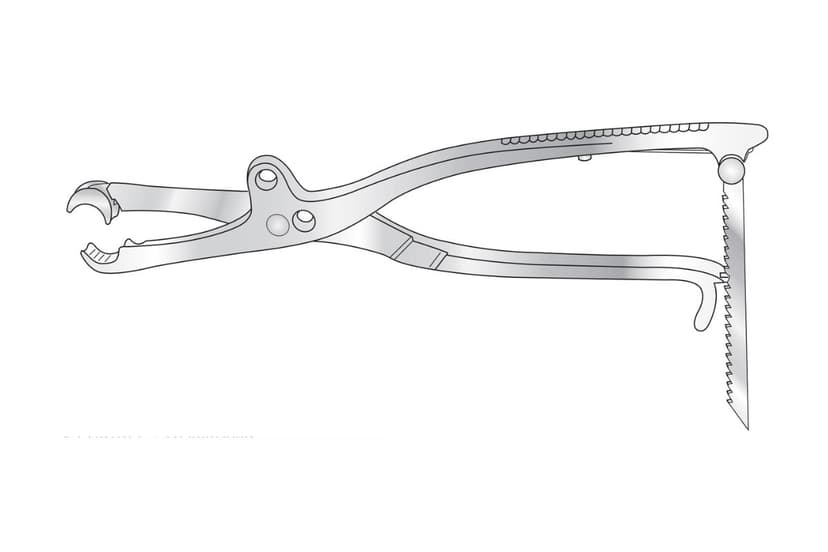 Lambotte Bone Holding Forceps (265mm)