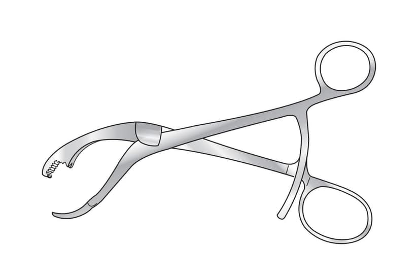 Verbrugge Bone Holding Forceps