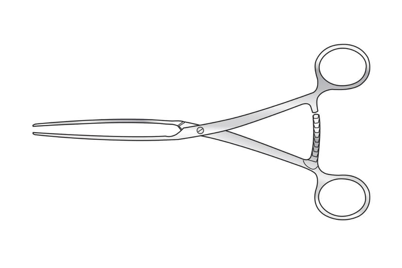 Lane Bowel Clamp (Stainless Steel)